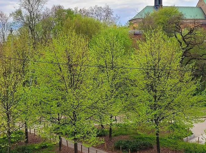 Apartment Wierzbowa 6 Z Klimatyzacja *